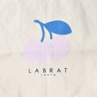 画像3: 【2月28日まで期間限定50%OFF】LABRAT×不純喫茶DOPE "cherry"bag (3)